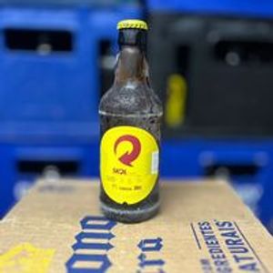 imagem do produto SKOL BUCHUDINHA 300ML (RETORNAVEL)