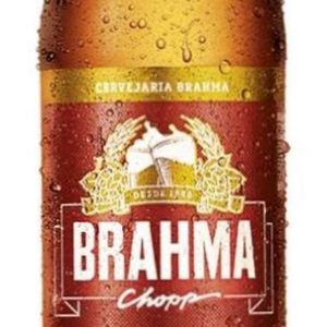 imagem do produto cerveja Brahma 600ml