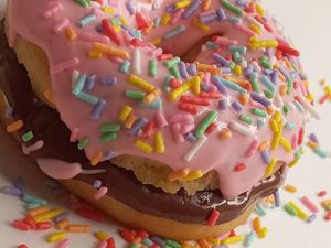 imagem do produto Homer