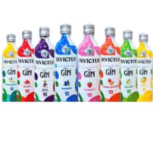 imagem do produto Gin Avulso