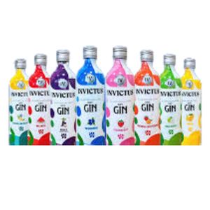 imagem do produto Gin Promo