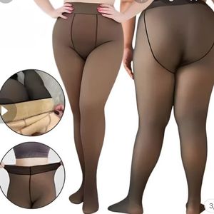 imagem do produto MEIA CALÇA TRANSLUCIDA