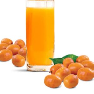 imagem do produto Suco cajá água ou leite 