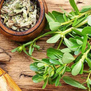 imagem do produto 100gr de Chá de Barbatimão - casca