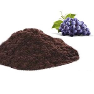 imagem do produto 100gr de Farinha de Uva