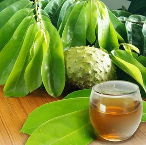 imagem do produto 100gr de Chá de Graviola