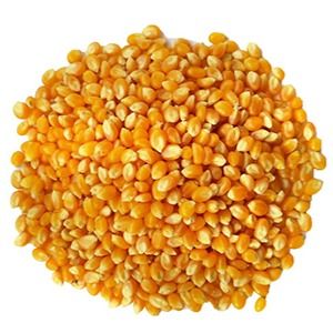 imagem do produto 200gr de Milho de Pipoca
