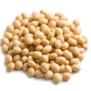 imagem do produto 200gr de Soja em grãos 