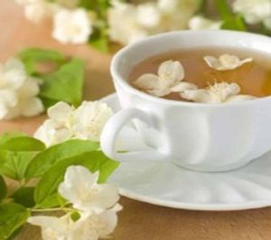 imagem do produto 100gr de Chá Branco 