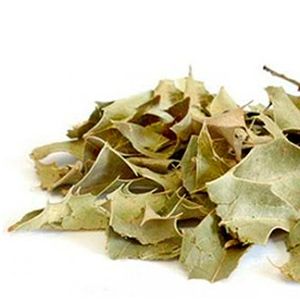 imagem do produto 100gr de Chá de Espinheira Santa