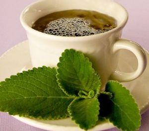 imagem do produto 50gr de Chá de Boldo Chileno