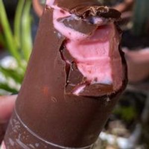 imagem do produto Gelinho Gourmet - Morango com Nutella