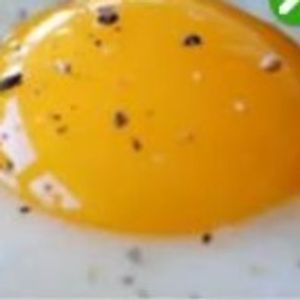 imagem do produto OVO FRITO