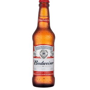 imagem do produto Budweiser long neck