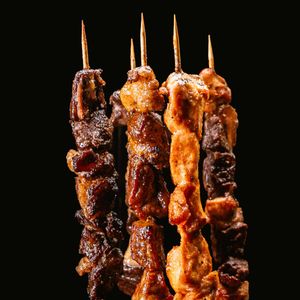 imagem do produto Espetinho sem Acompanhamento