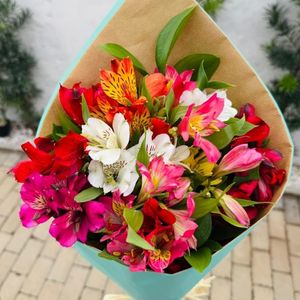 imagem do produto Buquê pequeno de astromelias