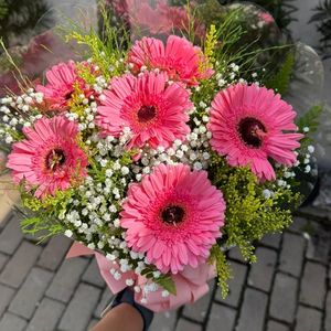 imagem do produto Buquê com 6 Gerberas cor de rosas