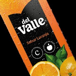 imagem do produto Suco Del Valle 1L