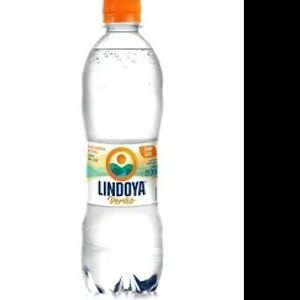 imagem do produto AGUA COM GAS LINDOYA 500ML