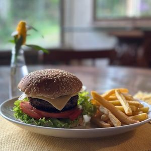 imagem do produto Hambúrguer gourmet com Fritas 