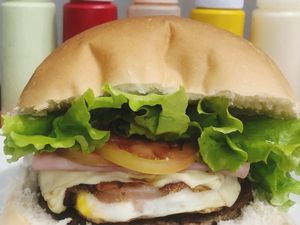 imagem do produto X-Tudo