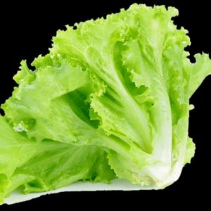 imagem do produto Alface