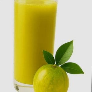 imagem do produto Suco de Umbu