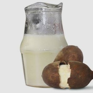 imagem do produto Suco de cupuçu (polpa)