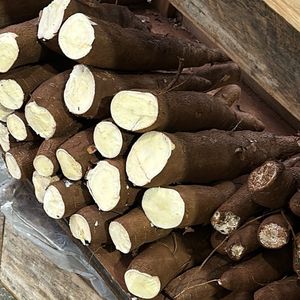 imagem do produto MANDIOCA MANTEIGA R$ 4,99 Kg 