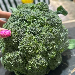 imagem do produto Brócolis Ninja R$ 7,99 Un 