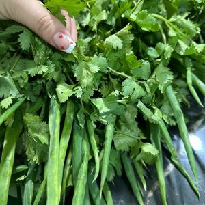 imagem do produto Coentro c Cebolinha R$ 4,99 Un 