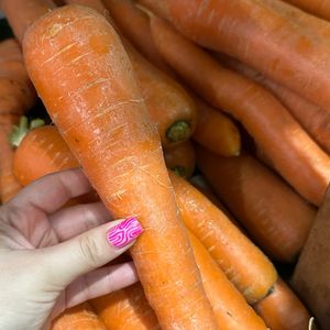 imagem do produto Cenoura R$ 5,99 Kg 