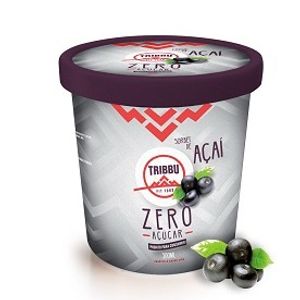 imagem do produto Pote de Açaí Zero 500mL