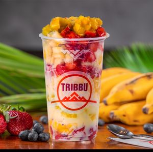 imagem do produto Salada de Frutas Tribbu