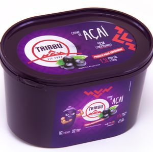 imagem do produto Pote de Açaí Tradicional de 1,5 Litros