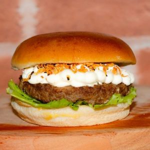 imagem do produto X- ALINHO 