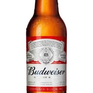 imagem do produto Budweiser
