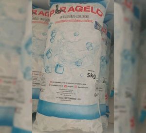 imagem do produto Gelo 5kg