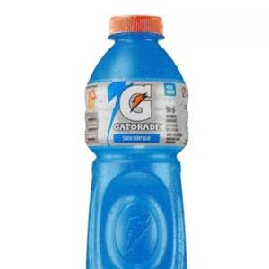 imagem do produto GATORADE BLUE BARRY 500 ML