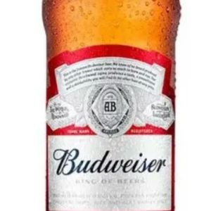 imagem do produto BUDWEISER 330 ML