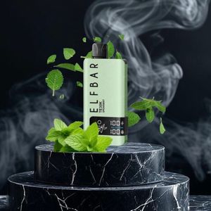 imagem do produto ELFBAR TE 30K Miami Mint 