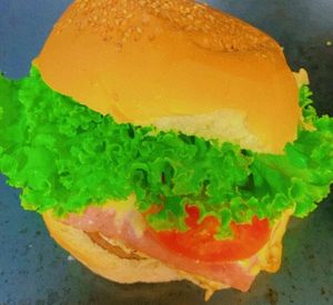 imagem do produto Hambúrguer simples