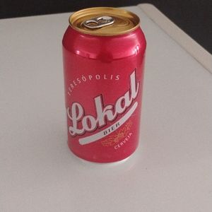 imagem do produto Cerveja Lokal 350ml 