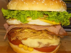 imagem do produto Brocão Frango Simples