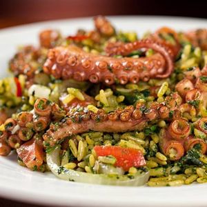 imagem do produto Polvo a moda casa 