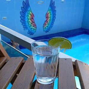 imagem do produto PITU ( QUARTNHO)