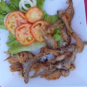 imagem do produto PIABA