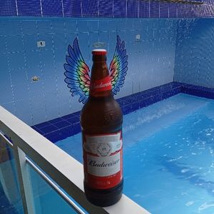 imagem do produto BUBWESER 1 LITRO