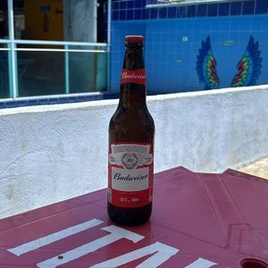 imagem do produto BUDWEISER 600