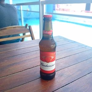 imagem do produto BUDWEISER LONG